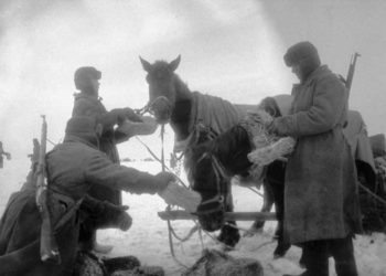С какой целью русские солдаты отдавали соломенные лапти на съедение лошадям